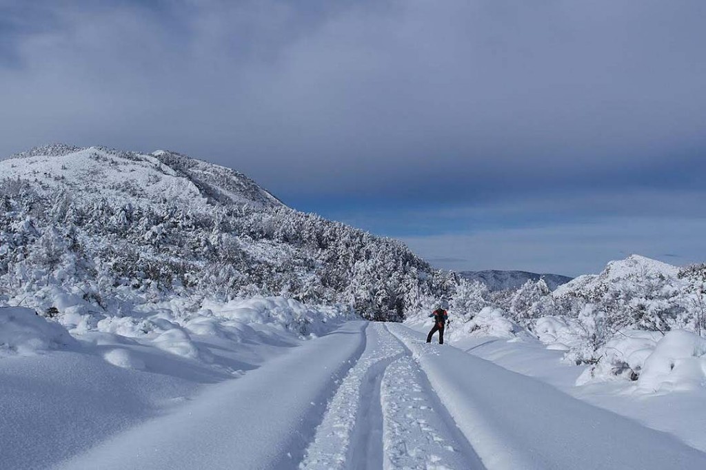 Alrededores de Nocito (Sierra de Guara). Autor Pedro Grasa