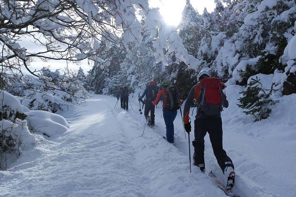 Alrededores de Nocito (Sierra de Guara). Autor Pedro Grasa